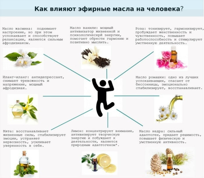 «Любимый запах».